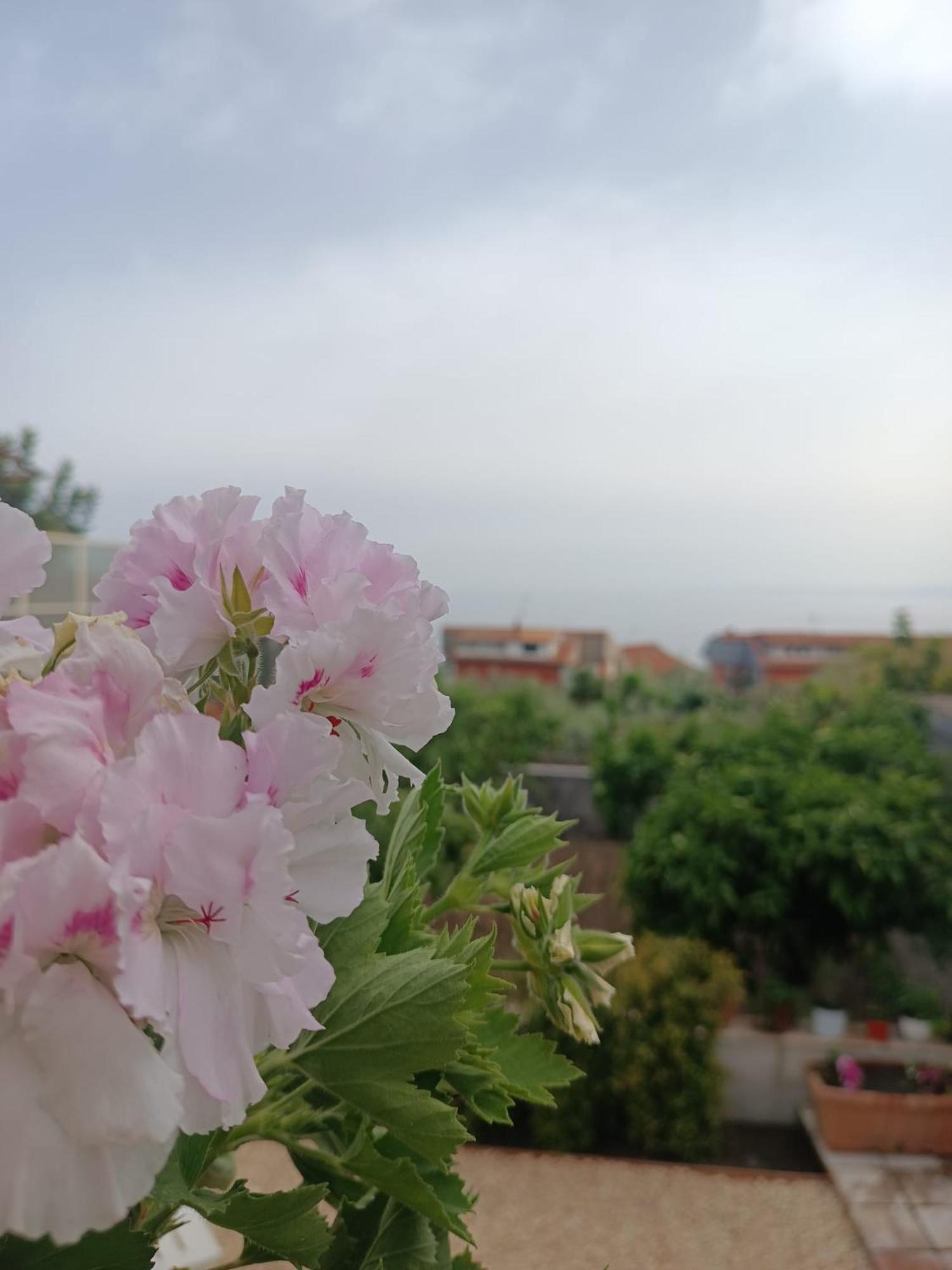 Mosa House Villa Aci Castello Buitenkant foto